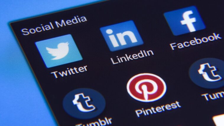 social media trends