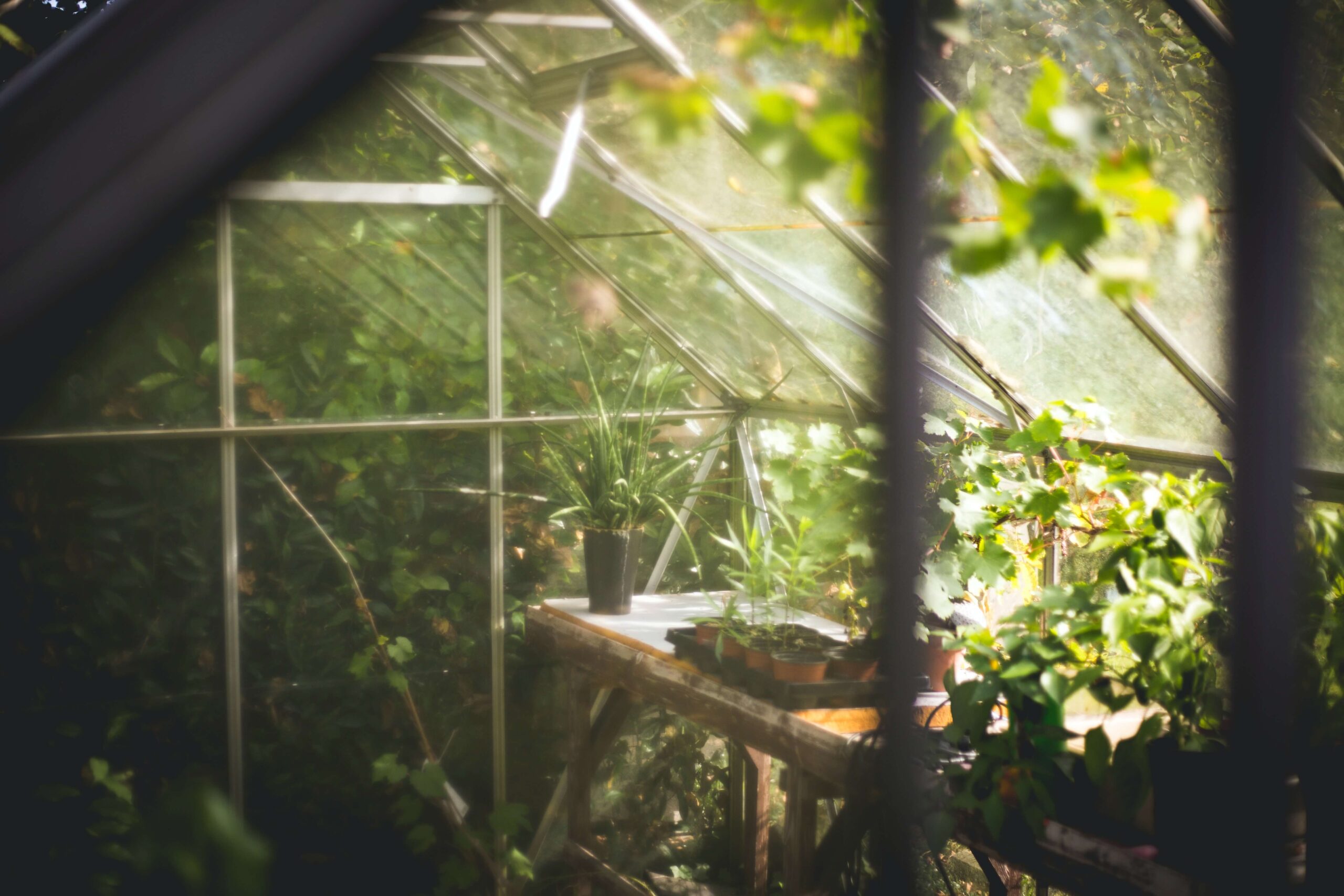 cost effective ways to do gardening