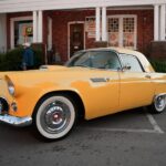 best summer cars