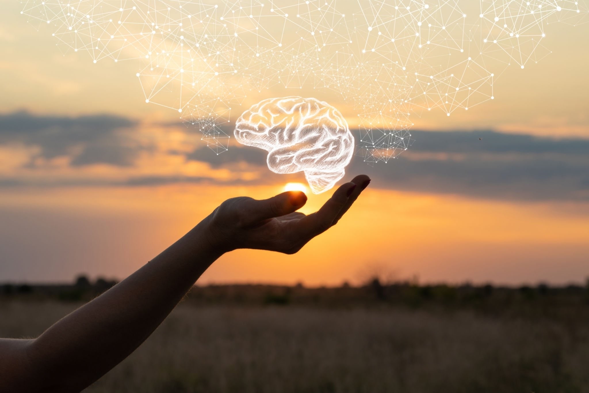 Importance of Mental Health And its Awareness in Schools