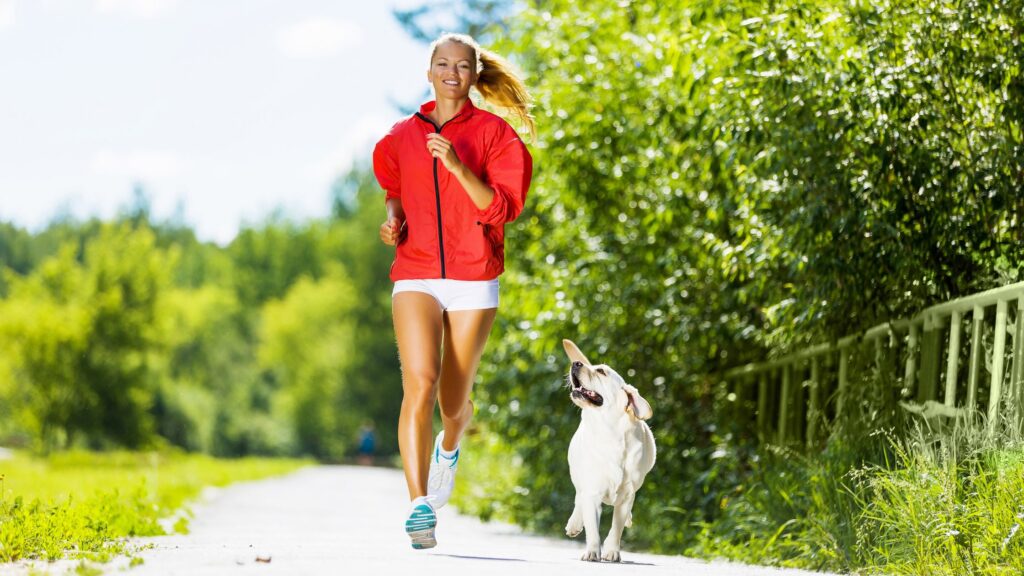 Dog and Dog owner going to a morning walk