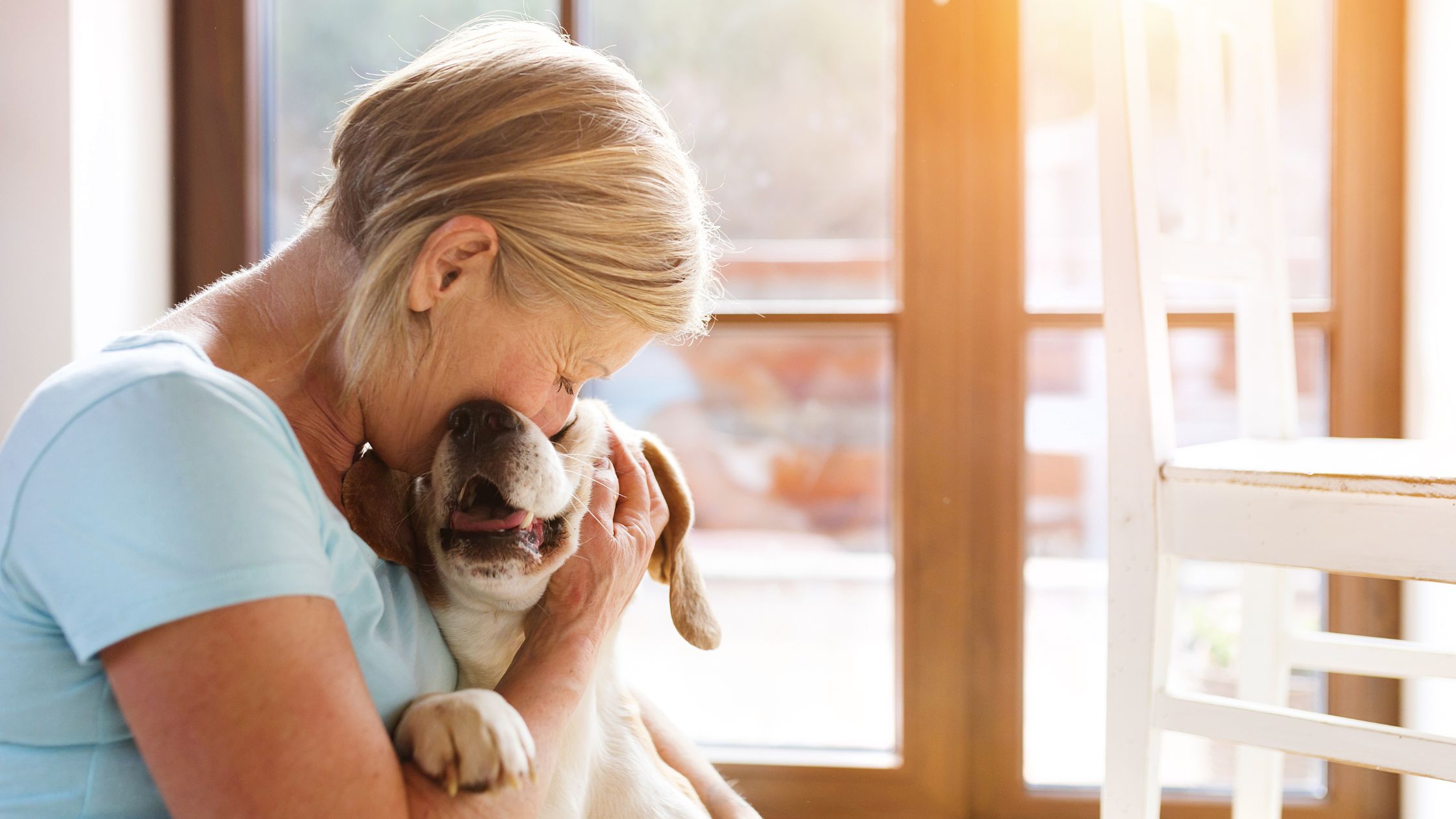 Dog Owner Kissing the Dog
