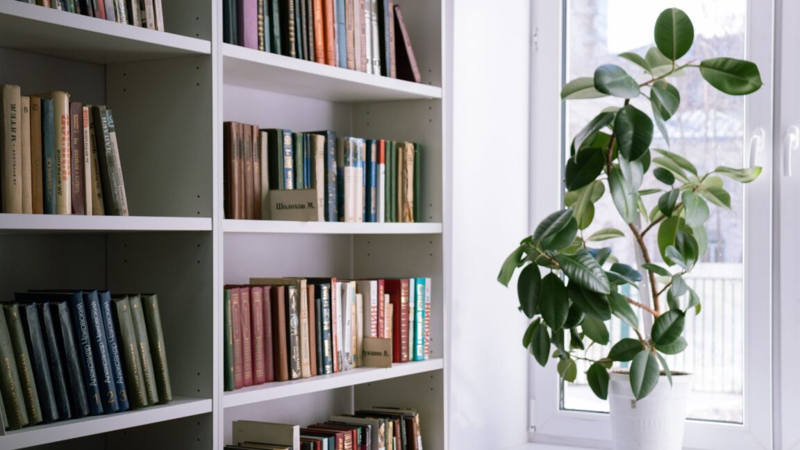 Indoor Plants to Bring and Books in Same Frame