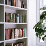 Indoor Plants to Bring and Books in Same Frame
